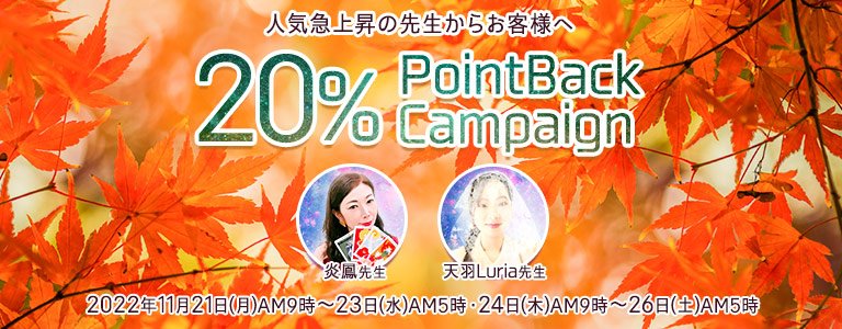 11月20%キャンペーン